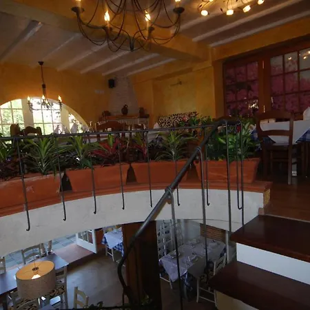 Town House 티라나